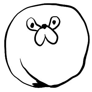 バルクヘッド